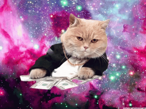 Cat in a woman's business suit and neckace, at a table with dollars with a Cat Casey signature background (pulsating)