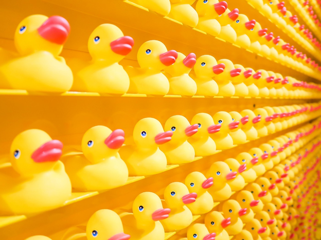 Shelves filled with yellow rubber duckies with red beaks
