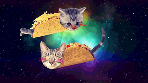 Two EDiscovery Cats with laser eyes, cats are in taco shells in the galaxy