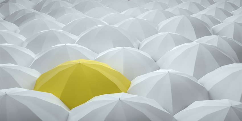 A sea of white umbrellas, with one yellow umbrella.