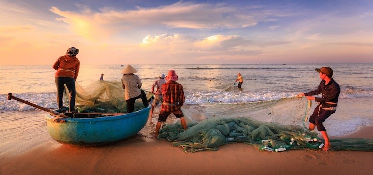 Fisherpeople at shore with nets of fish, standing on shore and in boat.