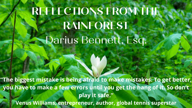 Reflections from the Rainforest, Darius Bennett, Esq