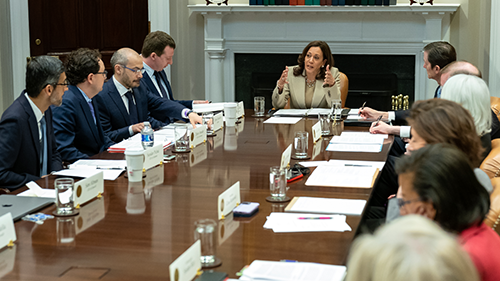 Actual photo of Kamala Harris at the White House
