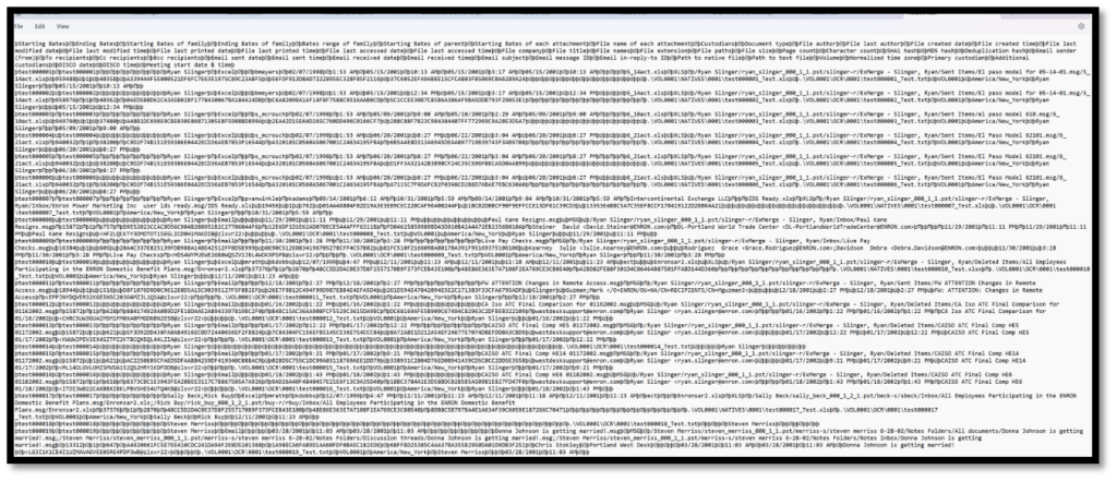 Picture of a load file with lines of data--a text file