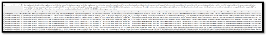 Results of importing the text file into Excel