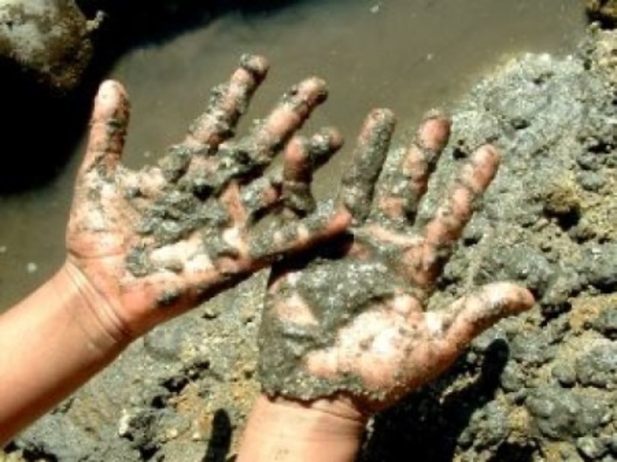 Ralph losey's muddy hands in a close up photo by the fabulous Molly.